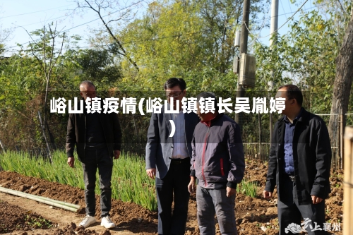 峪山镇疫情(峪山镇镇长吴胤婷)-第3张图片