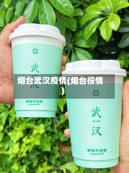 烟台武汉疫情(烟台役情)-第2张图片