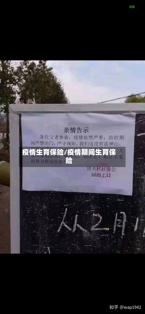 疫情生育保险/疫情期间生育保险