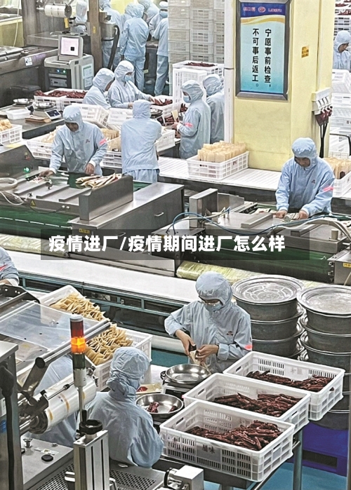 疫情进厂/疫情期间进厂怎么样