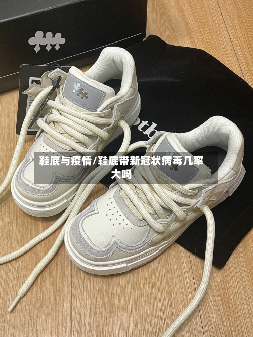 鞋底与疫情/鞋底带新冠状病毒几率大吗-第3张图片