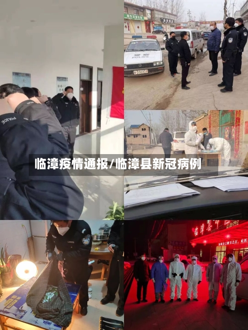 临漳疫情通报/临漳县新冠病例