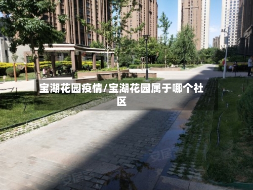 宝湖花园疫情/宝湖花园属于哪个社区-第2张图片