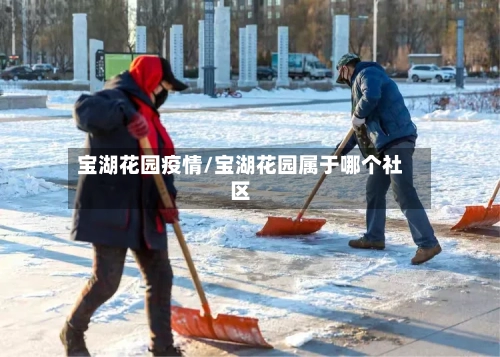 宝湖花园疫情/宝湖花园属于哪个社区-第3张图片