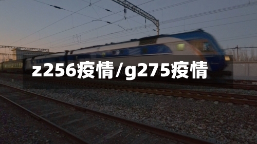 z256疫情/g275疫情