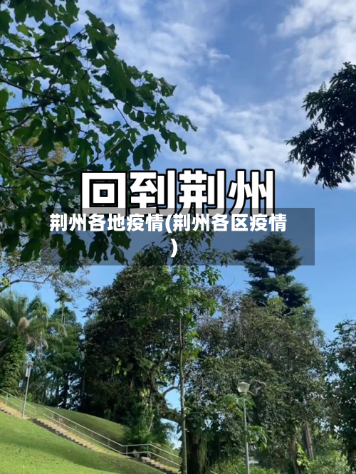 荆州各地疫情(荆州各区疫情)