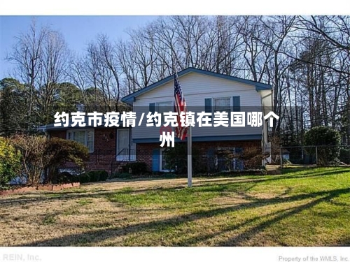 约克市疫情/约克镇在美国哪个州