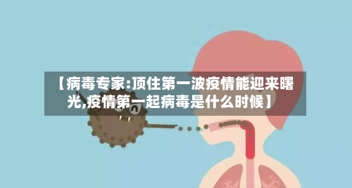 【病毒专家:顶住第一波疫情能迎来曙光,疫情第一起病毒是什么时候】-第3张图片