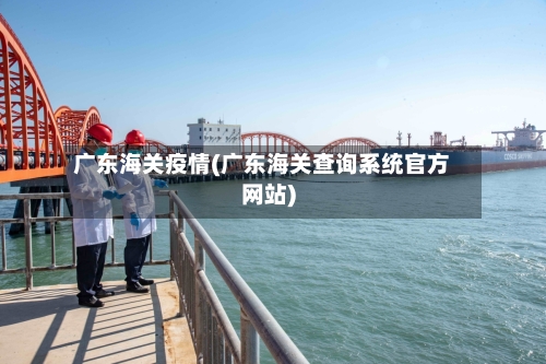 广东海关疫情(广东海关查询系统官方网站)-第2张图片