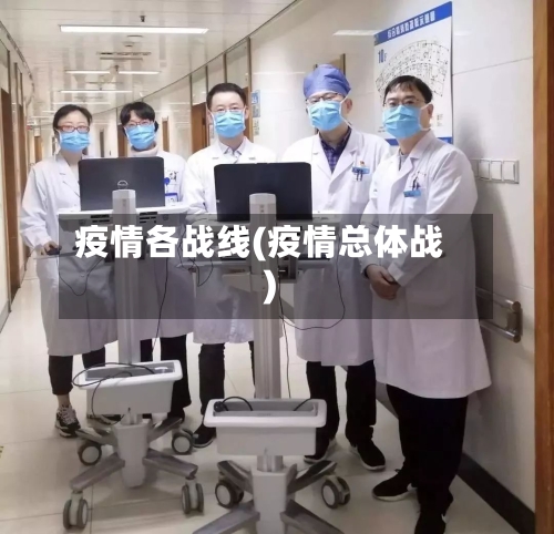 疫情各战线(疫情总体战)