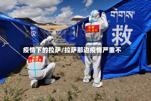 疫情下的拉萨/拉萨那边疫情严重不-第1张图片