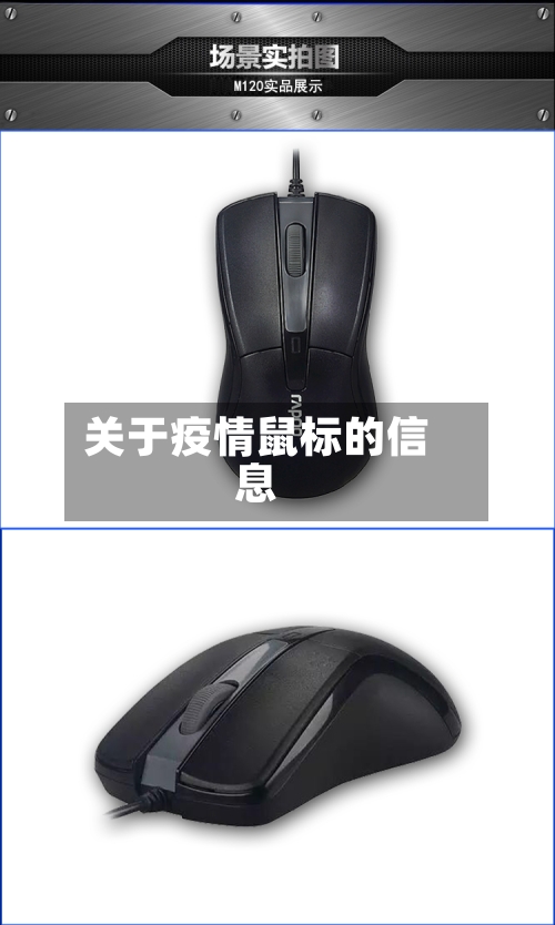 关于疫情鼠标的信息-第3张图片