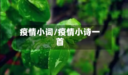 疫情小词/疫情小诗一首