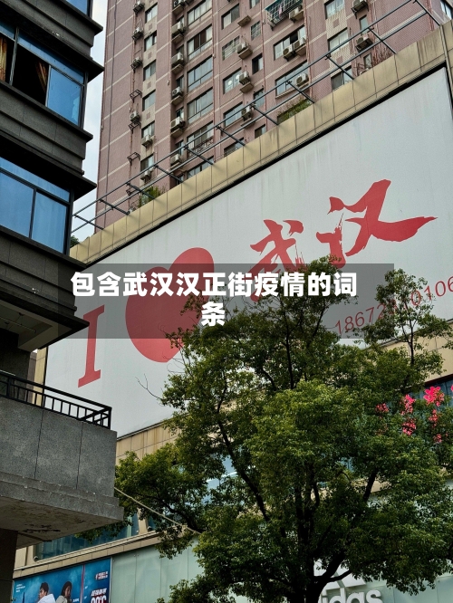 包含武汉汉正街疫情的词条-第2张图片