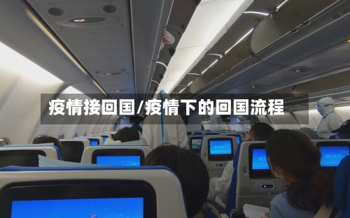 疫情接回国/疫情下的回国流程-第3张图片
