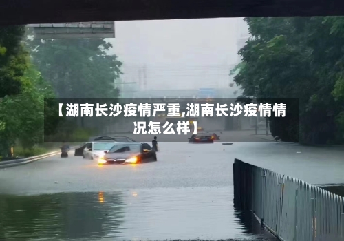 【湖南长沙疫情严重,湖南长沙疫情情况怎么样】-第2张图片