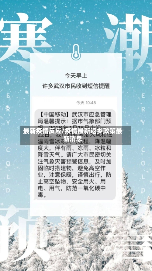 最新疫情反应/疫情最新返乡政策最新消息-第3张图片