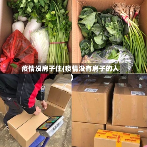 疫情没房子住(疫情没有房子的人)-第2张图片
