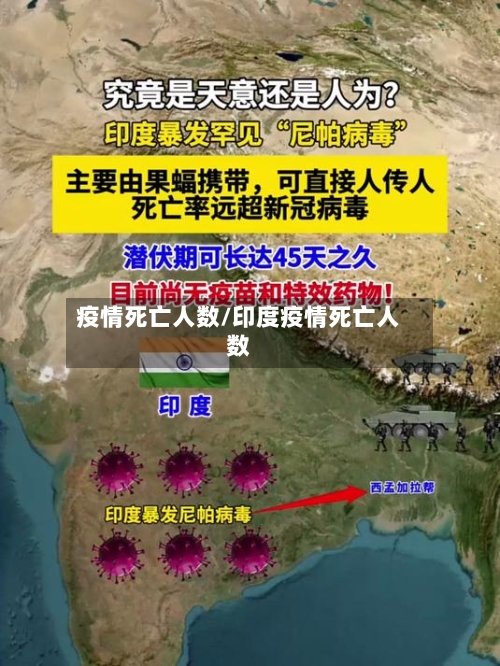 疫情死亡人数/印度疫情死亡人数-第2张图片