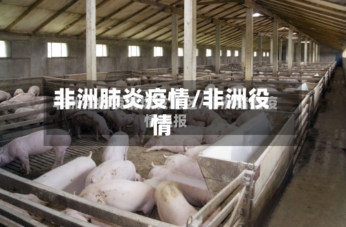 非洲肺炎疫情/非洲役情-第2张图片