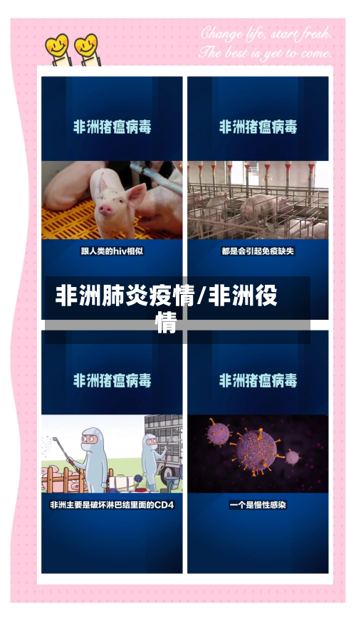 非洲肺炎疫情/非洲役情-第3张图片