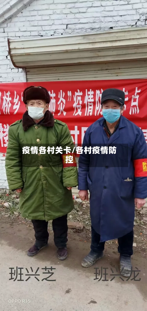 疫情各村关卡/各村疫情防控