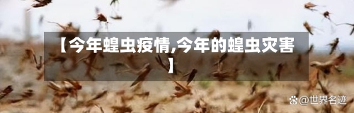 【今年蝗虫疫情,今年的蝗虫灾害】-第2张图片
