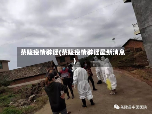 茶陵疫情辟谣(茶陵疫情辟谣最新消息)