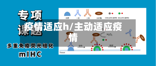 疫情适应h/主动适应疫情-第3张图片