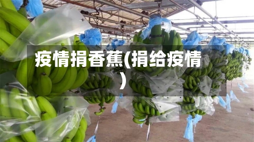 疫情捐香蕉(捐给疫情)-第2张图片