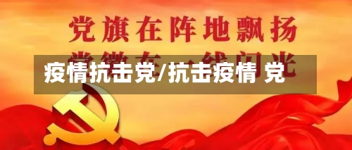 疫情抗击党/抗击疫情 党