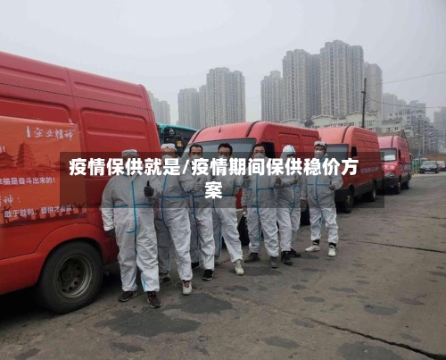 疫情保供就是/疫情期间保供稳价方案-第3张图片