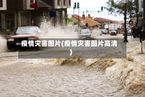 疫情灾害图片(疫情灾害图片高清)