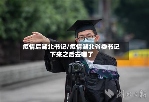 疫情后湖北书记/疫情湖北省委书记下来之后去哪了-第2张图片