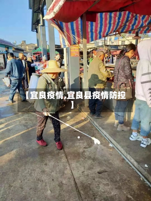 【宜良疫情,宜良县疫情防控】