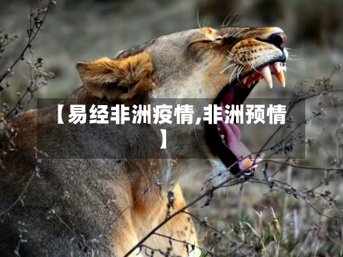 【易经非洲疫情,非洲预情】