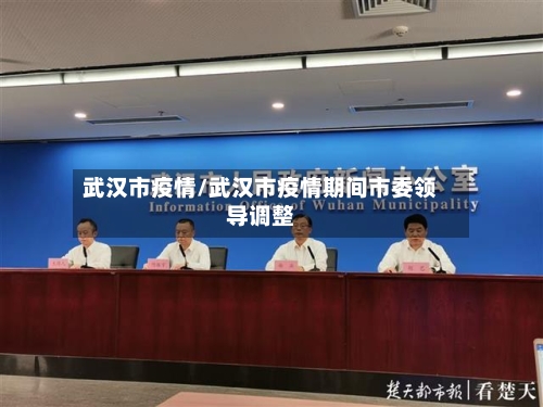 武汉市疫情/武汉市疫情期间市委领导调整