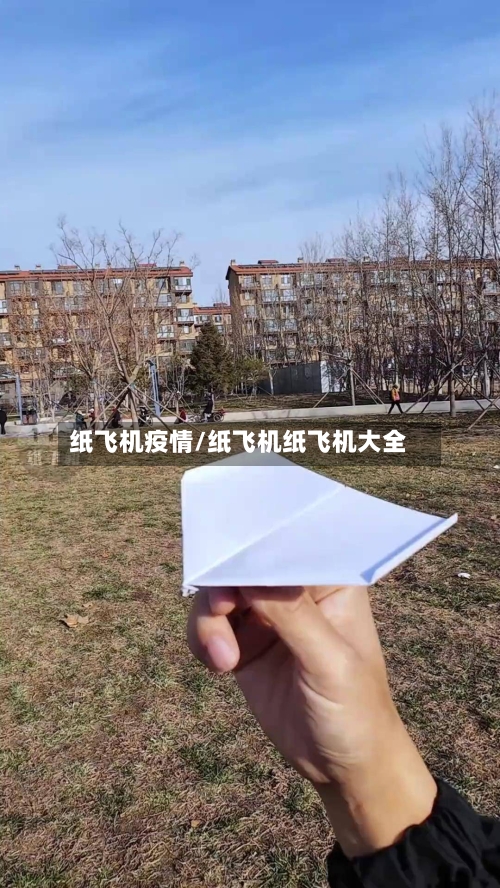 纸飞机疫情/纸飞机纸飞机大全