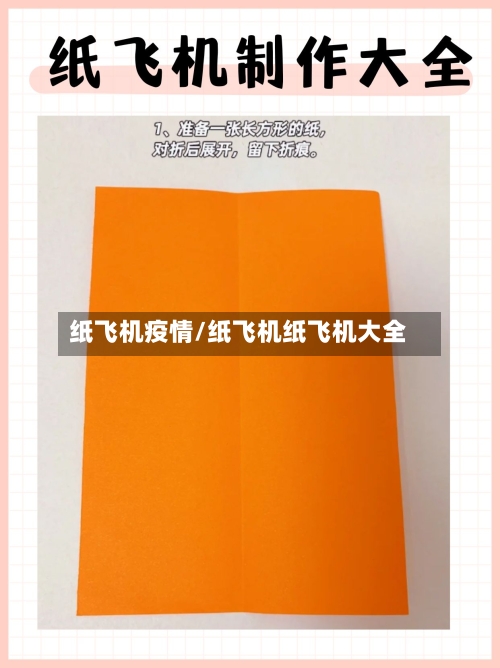 纸飞机疫情/纸飞机纸飞机大全-第2张图片