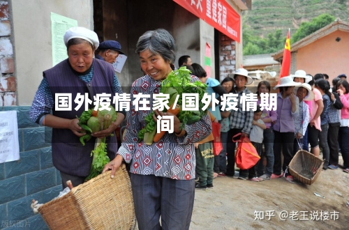 国外疫情在家/国外疫情期间