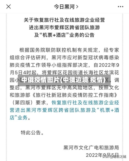 中俄疫情图片(中俄边境 疫情)-第2张图片