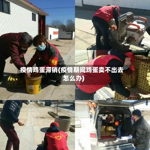 疫情鸡蛋滞销(疫情期间鸡蛋卖不出去怎么办)