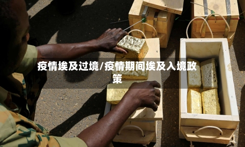 疫情埃及过境/疫情期间埃及入境政策-第3张图片