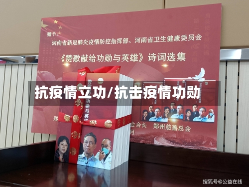 抗疫情立功/抗击疫情功勋-第2张图片