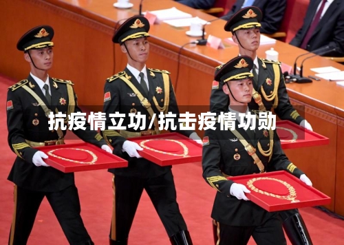 抗疫情立功/抗击疫情功勋