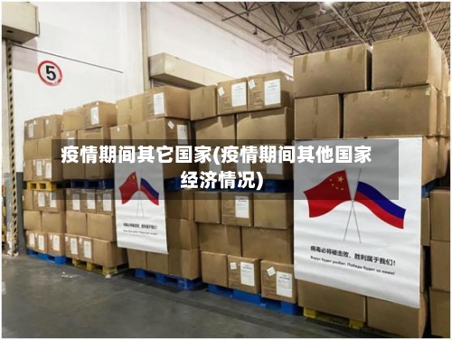 疫情期间其它国家(疫情期间其他国家经济情况)-第2张图片