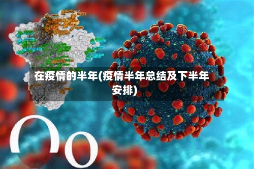 在疫情的半年(疫情半年总结及下半年安排)