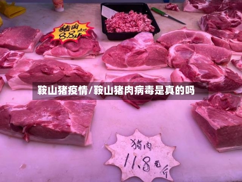 鞍山猪疫情/鞍山猪肉病毒是真的吗