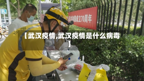 【武汉疫情,武汉疫情是什么病毒】-第2张图片