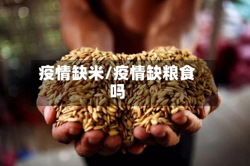 疫情缺米/疫情缺粮食吗-第3张图片